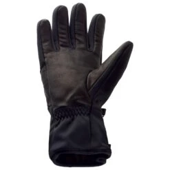 Gant Therm-Ic Ski Light Black -Matériel De Ski Offres 0279dae4ebc40ee8a20cb24a6e895310dd1825c5 VH20THERACC011 1