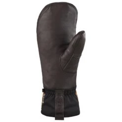 Moufles Dakine Baron Gore-Tex Index Mitt Bison -Matériel De Ski Offres 03e322a36462edc30543fa52d0e2bbe57dc6aa9f H23DAKIACC3333902 2