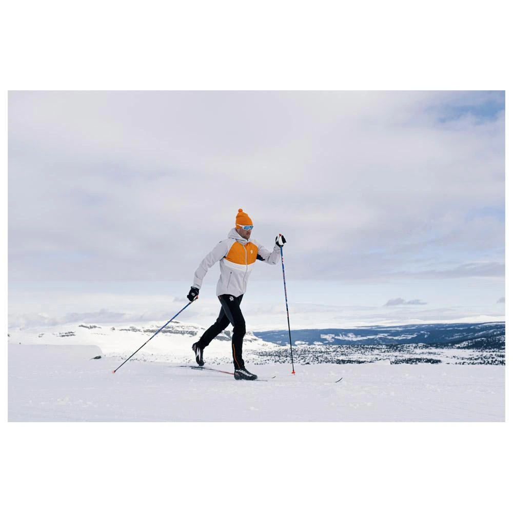 Veste Nordique Bjorn Daehlie Nordic 2.0 Quiet Grey 7 Veste Nordique Bjorn Daehlie Nordic 2.0 Quiet Grey – Image 5