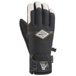 Gant Dakine Team Bronco Gore-Tex Glove Karl Fostvedt