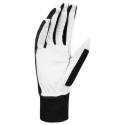 Gant Nordique Bjorn Daehlie Glove Race Leather Black -Matériel De Ski Offres 4981518d6216aeb928bf7560b3ac298a8f5870fe H22BJORACC2217030 2