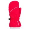 Moufles Rossignol Jr Nicky Impr Rose Wood 1 Moufles Rossignol Jr Nicky Impr Rose Wood -Matériel De Ski Offres 580f470411483ad7992e36a8a920cf70fe07bb42 VH19ROSSACC751 0