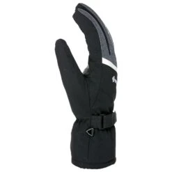 Gant Level Evolution Gore-tex Noir Gris -Matériel De Ski Offres 865669ee3a60b01078c6c385264a5b78797ab212 H18LEVEACC3343378 3