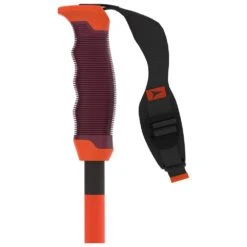 Bâton Atomic Redster Rs Sqs Red/Black -Matériel De Ski Offres ab001387b31f182d9498f05103b8c8ce9eb2ec60 H23ATOMBAT2267038 10