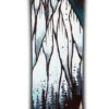 Planche Snowboard Weston Riva