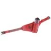 Porte-Gourde Rossignol Nordic Bottle Holder Hot Red -Matériel De Ski Offres c42f6abb45ac94ca1c3695ff34e0f3738dc083f5 H23ROSSACC250440 ROSS0676370 0
