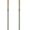 Bâton Salomon Hacker S3 Green 2 Bâton Salomon Hacker S3 Green -Matériel De Ski Offres f26dc31672687b42e8e92cbd9d12ef4d55c1401f VH20SALOBAT008 0