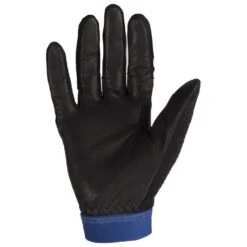 Gant Nordique Bjorn Daehlie Revolution Estate Blue 6 Gant Nordique Bjorn Daehlie Revolution Estate Blue -Matériel De Ski Offres f5a92cc459d14a88f7e98c78086ec58a30de1bd2 VH20BJORACC005 1